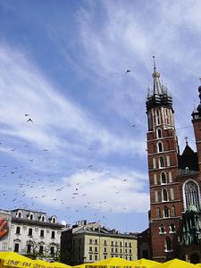 雷涅克格尼羅廣場