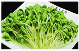芽苗蔬菜 芽苗蔬菜