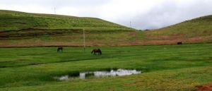 昭通大山包濕地