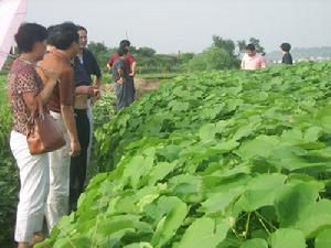 （圖）領導視察