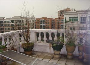 金泰社區[廣東東莞市萬江街道金泰村]