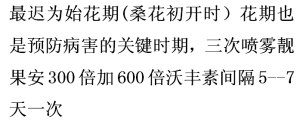 桑葚菌核病防治