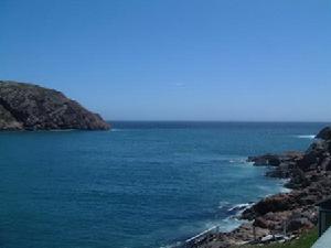 （圖）紐芬蘭風光