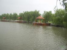 溱湖國家濕地公園