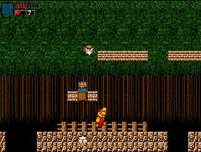 超級馬里奧版惡魔城