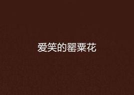 愛笑的罌粟花 愛笑的罌粟花