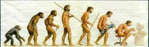 （圖）《進化論》人類的進化過程