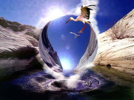 迷幻世界 迷幻世界