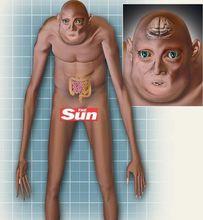 千年後的人類模樣