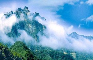 白雲山森林公園