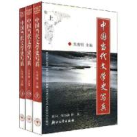 中國當代文學史寫真 中國當代文學史寫真