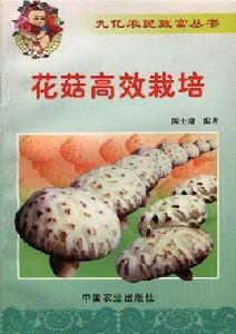 花菇高效栽培 花菇高效栽培