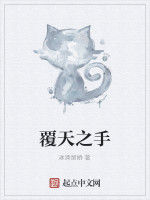 覆天之手 覆天之手