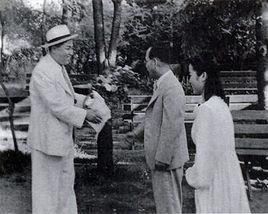 游擊隊派 游擊隊派