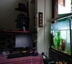 麗江古城阿亮客棧 麗江古城阿亮客棧