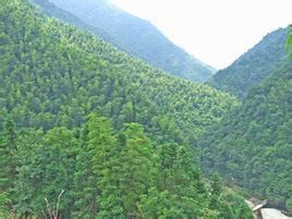 五梅山風景區 五梅山風景區