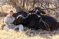 非洲水牛與人