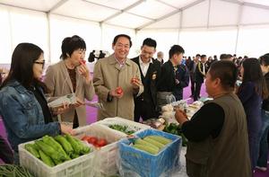 新農創投資發展有限公司