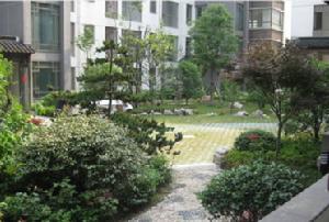 桂花新村 桂花新村