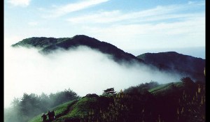 安徽省葉集試驗區