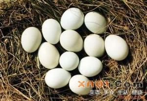 初生蛋 初生蛋