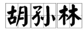 胡孫林 胡孫林