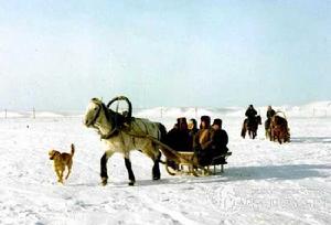 敖魯古雅[鄂溫克族部落]