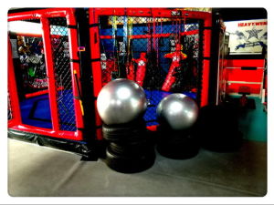 Simba.道騰格鬥綜合訓練營