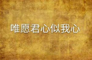 唯願君心似我心 唯願君心似我心