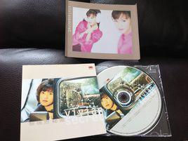 傻子[黎瑞恩歌曲]