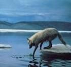 埃爾斯米爾島動物