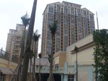 書香門第上河坊實景圖