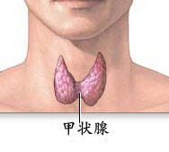 原發性甲狀旁腺功能亢進