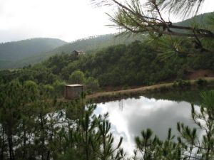 蕨菜山自然村 蕨菜山自然村