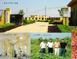 北海市綠邦生物創景有限公司