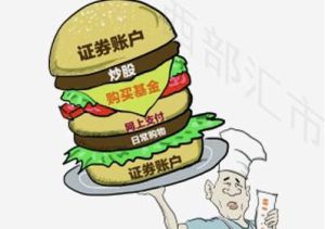 證券賬戶 證券賬戶