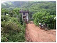 桃子水村 桃子水村