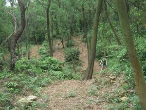 大夫山腳踏車場 大夫山腳踏車場