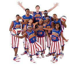 哈林籃球隊 哈林籃球隊