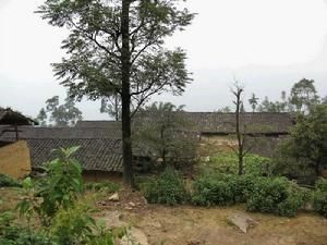 石坎頭自然村 石坎頭自然村