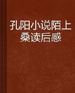 孔陽小說陌上桑讀後感 孔陽小說陌上桑讀後感