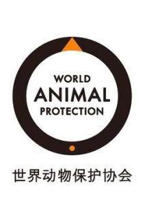 保護動物 保護動物