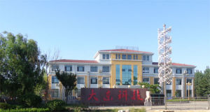 大東科技 大東科技