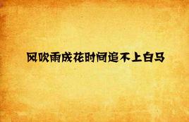 風吹雨成花時間追不上白馬 風吹雨成花時間追不上白馬