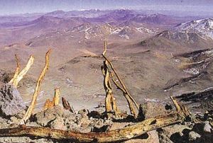 發現地點，阿根廷的尤耶亞科火山。