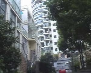 新梅泉苑 新梅泉苑