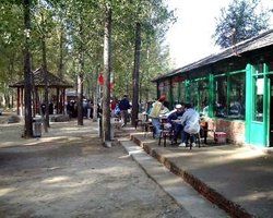 鵝和鴨農莊 鵝和鴨農莊