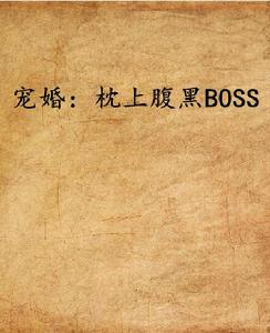 寵婚:枕上腹黑BOSS 寵婚:枕上腹黑BOSS