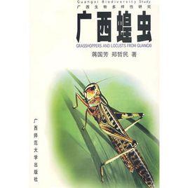 廣西蝗蟲 廣西蝗蟲
