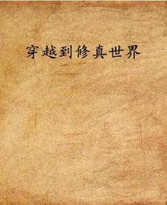穿越到修真世界